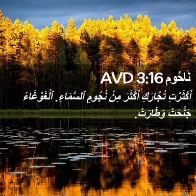 Picture 02 - نَاحُوم 3:16 AVD - أَكْثَرْتِ تُجَّارَكِ - Bible Verse Picture
