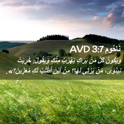 Picture 02 - نَاحُوم 3:7 AVD - وَيَكُونُ كُلُّ مَنْ - Bible Verse Picture