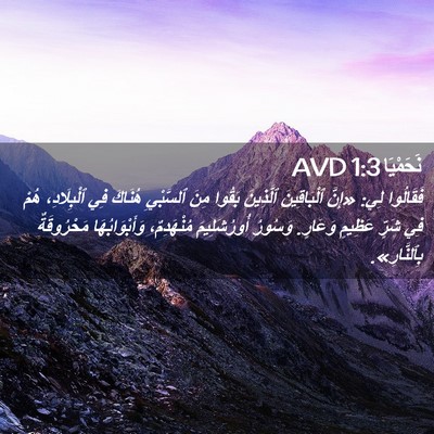 Picture 02 - نَحَمْيَا 1:3 AVD - فَقَالُوا لِي: «إِنَّ - Bible Verse Picture