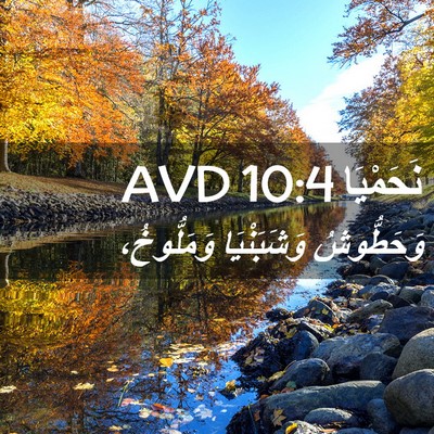 Picture 02 - نَحَمْيَا 10:4 AVD - وَحَطُّوشُ وَشَبَنْيَا - Bible Verse Picture