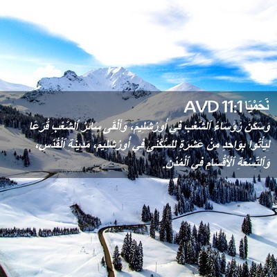 Picture 02 - نَحَمْيَا 11:1 AVD - وَسَكَنَ رُؤَسَاءُ - Bible Verse Picture