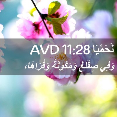 Picture 02 - نَحَمْيَا 11:28 AVD - وَفِي صِقْلَغَ - Bible Verse Picture