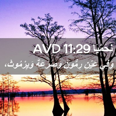 Picture 02 - نَحَمْيَا 11:29 AVD - وَفِي عَيْنِ رِمُّونَ - Bible Verse Picture