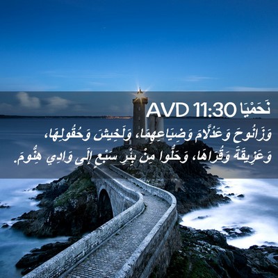 Picture 02 - نَحَمْيَا 11:30 AVD - وَزَانُوحَ وَعَدُلَّامَ - Bible Verse Picture