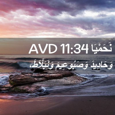 Picture 02 - نَحَمْيَا 11:34 AVD - وَحَادِيدَ وَصَبُوعِيمَ - Bible Verse Picture