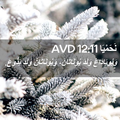 Picture 02 - نَحَمْيَا 12:11 AVD - وَيُويَادَاعُ وَلَدَ - Bible Verse Picture