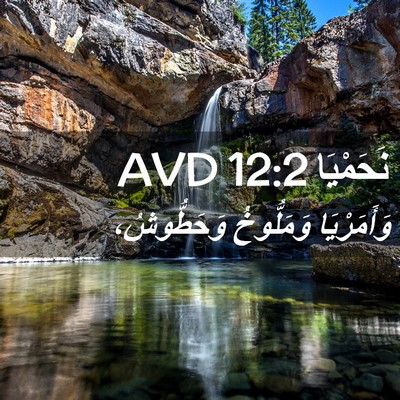 Picture 02 - نَحَمْيَا 12:2 AVD - وَأَمَرْيَا وَمَلُّوخُ - Bible Verse Picture