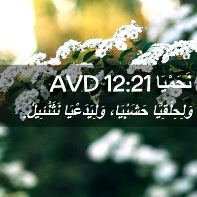 Picture 02 - نَحَمْيَا 12:21 AVD - وَلِحِلْقِيَّا حَشَبْيَا، - Bible Verse Picture
