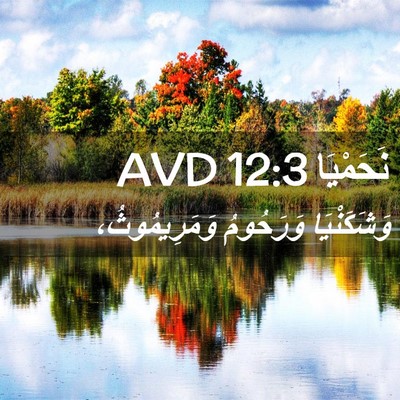 Picture 02 - نَحَمْيَا 12:3 AVD - وَشَكَنْيَا وَرَحُومُ - Bible Verse Picture