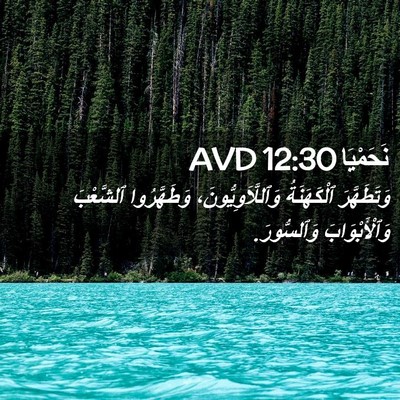 Picture 02 - نَحَمْيَا 12:30 AVD - وَتَطَهَّرَ ٱلْكَهَنَةُ - Bible Verse Picture