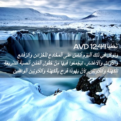 Picture 02 - نَحَمْيَا 12:44 AVD - وَتَوَكَّلَ فِي ذَلِكَ - Bible Verse Picture