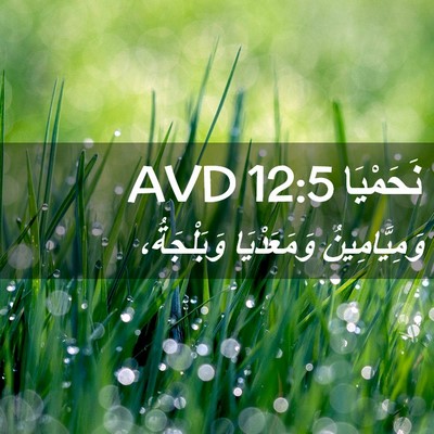 Picture 02 - نَحَمْيَا 12:5 AVD - وَمِيَّامِينُ وَمَعَدْيَا - Bible Verse Picture