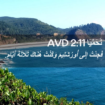 Picture 02 - نَحَمْيَا 2:11 AVD - فَجِئْتُ إِلَى - Bible Verse Picture