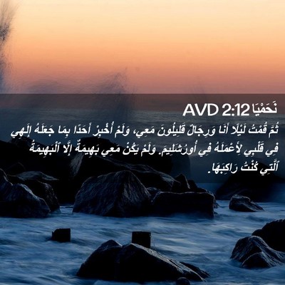 Picture 02 - نَحَمْيَا 2:12 AVD - ثُمَّ قُمْتُ لَيْلًا أَنَا - Bible Verse Picture