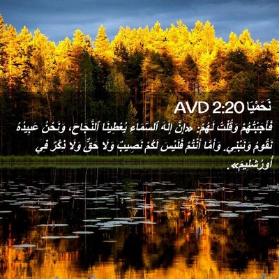 Picture 02 - نَحَمْيَا 2:20 AVD - فَأَجَبْتُهُمْ وَقُلْتُ - Bible Verse Picture