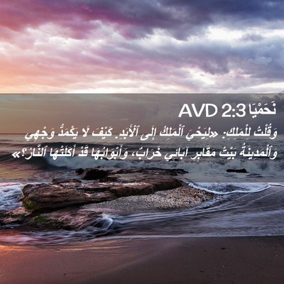 Picture 02 - نَحَمْيَا 2:3 AVD - وَقُلْتُ لِلْمَلِكِ: - Bible Verse Picture