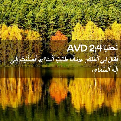 Picture 02 - نَحَمْيَا 2:4 AVD - فَقَالَ لِي ٱلْمَلِكُ: - Bible Verse Picture