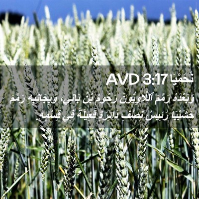Picture 02 - نَحَمْيَا 3:17 AVD - وَبَعْدَهُ رَمَّمَ - Bible Verse Picture