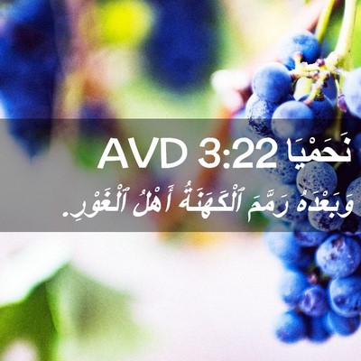 Picture 02 - نَحَمْيَا 3:22 AVD - وَبَعْدَهُ رَمَّمَ - Bible Verse Picture
