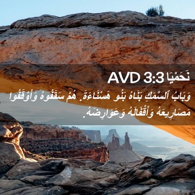 Picture 02 - نَحَمْيَا 3:3 AVD - وَبَابُ ٱلسَّمَكِ بَنَاهُ - Bible Verse Picture