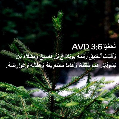 Picture 02 - نَحَمْيَا 3:6 AVD - وَٱلْبَابُ ٱلْعَتِيقُ - Bible Verse Picture