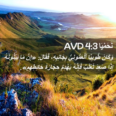 Picture 02 - نَحَمْيَا 4:3 AVD - وَكَانَ طُوبِيَّا - Bible Verse Picture