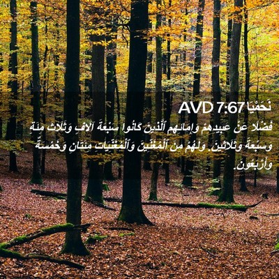 Picture 02 - نَحَمْيَا 7:67 AVD - فَضْلًا عَنْ عَبِيدِهِمْ - Bible Verse Picture