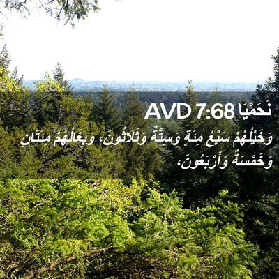 Picture 02 - نَحَمْيَا 7:68 AVD - وَخَيْلُهُمْ سَبْعُ - Bible Verse Picture