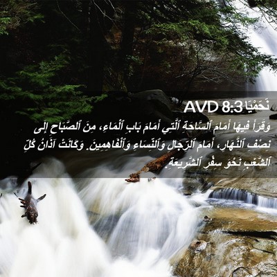 Picture 02 - نَحَمْيَا 8:3 AVD - وَقَرَأَ فِيهَا أَمَامَ - Bible Verse Picture