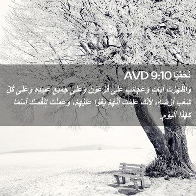 Picture 02 - نَحَمْيَا 9:10 AVD - وَأَظْهَرْتَ آيَاتٍ - Bible Verse Picture