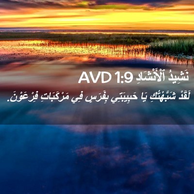 Picture 02 - نَشِيدُ ٱلْأَنْشَادِ 1:9 AVD - لَقَدْ شَبَّهْتُكِ يَا - Bible Verse Picture