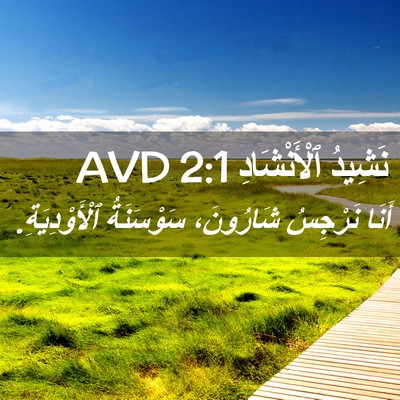 Picture 02 - نَشِيدُ ٱلْأَنْشَادِ 2:1 AVD - أَنَا نَرْجِسُ شَارُونَ، - Bible Verse Picture