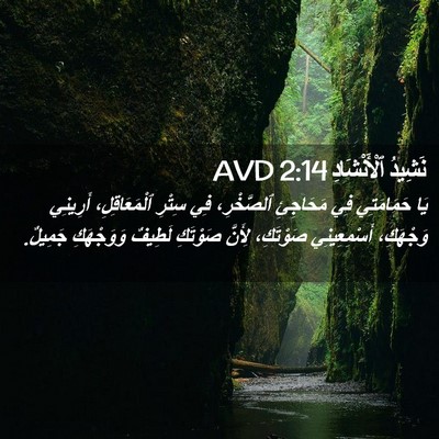 Picture 02 - نَشِيدُ ٱلْأَنْشَادِ 2:14 AVD - يَا حَمَامَتِي فِي - Bible Verse Picture