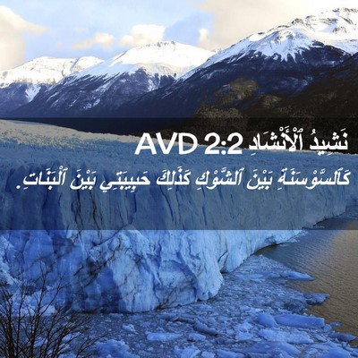Picture 02 - نَشِيدُ ٱلْأَنْشَادِ 2:2 AVD - كَٱلسَّوْسَنَةِ بَيْنَ - Bible Verse Picture