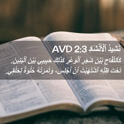 Picture 02 - نَشِيدُ ٱلْأَنْشَادِ 2:3 AVD - كَٱلتُّفَّاحِ بَيْنَ - Bible Verse Picture