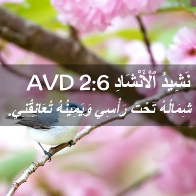 Picture 02 - نَشِيدُ ٱلْأَنْشَادِ 2:6 AVD - شِمَالُهُ تَحْتَ رَأْسِي - Bible Verse Picture