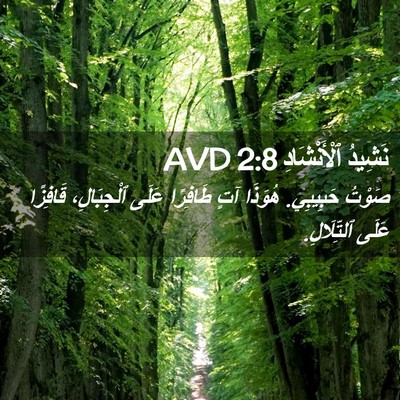 Picture 02 - نَشِيدُ ٱلْأَنْشَادِ 2:8 AVD - صَوْتُ حَبِيبِي. هُوَذَا - Bible Verse Picture
