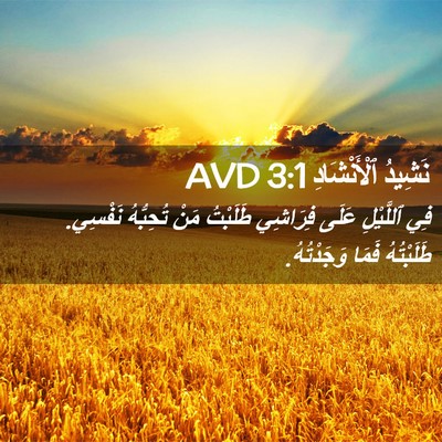 Picture 02 - نَشِيدُ ٱلْأَنْشَادِ 3:1 AVD - فِي ٱللَّيْلِ عَلَى - Bible Verse Picture