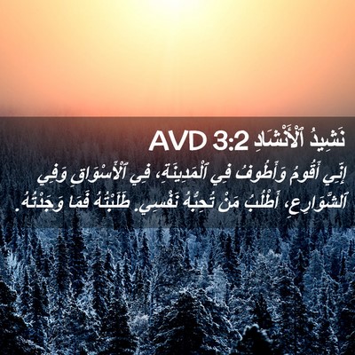 Picture 02 - نَشِيدُ ٱلْأَنْشَادِ 3:2 AVD - إِنِّي أَقُومُ وَأَطُوفُ - Bible Verse Picture