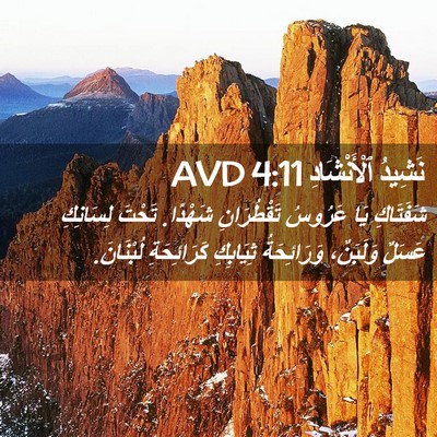 Picture 02 - نَشِيدُ ٱلْأَنْشَادِ 4:11 AVD - شَفَتَاكِ يَا عَرُوسُ - Bible Verse Picture