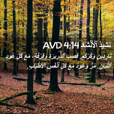 Picture 02 - نَشِيدُ ٱلْأَنْشَادِ 4:14 AVD - نَارِدِينٍ وَكُرْكُمٍ. - Bible Verse Picture