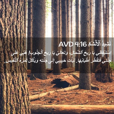 Picture 02 - نَشِيدُ ٱلْأَنْشَادِ 4:16 AVD - اِسْتَيْقِظِي يَا رِيحَ - Bible Verse Picture