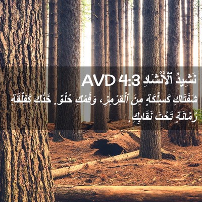 Picture 02 - نَشِيدُ ٱلْأَنْشَادِ 4:3 AVD - شَفَتَاكِ كَسِلْكَةٍ مِنَ - Bible Verse Picture