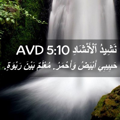 Picture 02 - نَشِيدُ ٱلْأَنْشَادِ 5:10 AVD - حَبِيبِي أَبْيَضُ - Bible Verse Picture