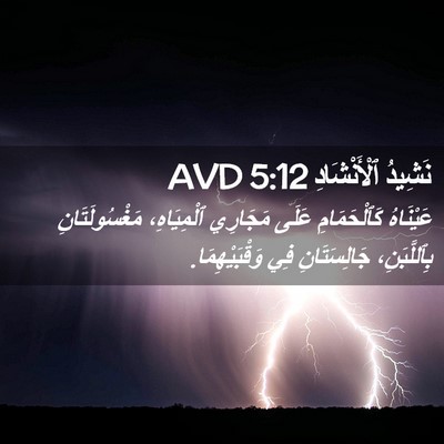 Picture 02 - نَشِيدُ ٱلْأَنْشَادِ 5:12 AVD - عَيْنَاهُ كَٱلْحَمَامِ - Bible Verse Picture