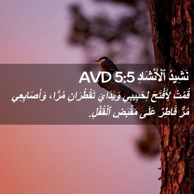 Picture 02 - نَشِيدُ ٱلْأَنْشَادِ 5:5 AVD - قُمْتُ لِأَفْتَحَ - Bible Verse Picture