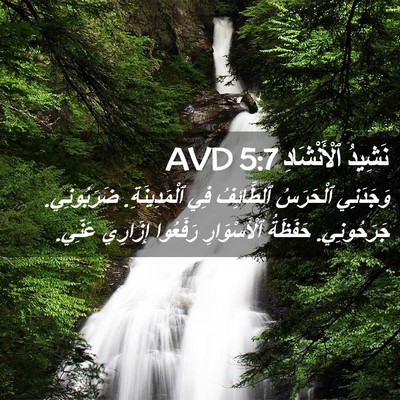 Picture 02 - نَشِيدُ ٱلْأَنْشَادِ 5:7 AVD - وَجَدَنِي ٱلْحَرَسُ - Bible Verse Picture