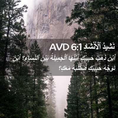 Picture 02 - نَشِيدُ ٱلْأَنْشَادِ 6:1 AVD - أَيْنَ ذَهَبَ حَبِيبُكِ - Bible Verse Picture