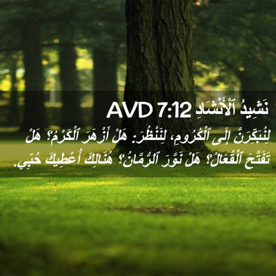 Picture 02 - نَشِيدُ ٱلْأَنْشَادِ 7:12 AVD - لِنُبَكِّرَنَّ إِلَى - Bible Verse Picture