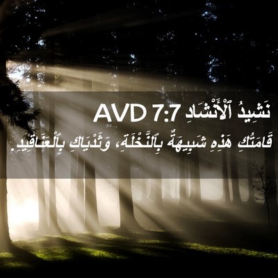 Picture 02 - نَشِيدُ ٱلْأَنْشَادِ 7:7 AVD - قَامَتُكِ هَذِهِ - Bible Verse Picture